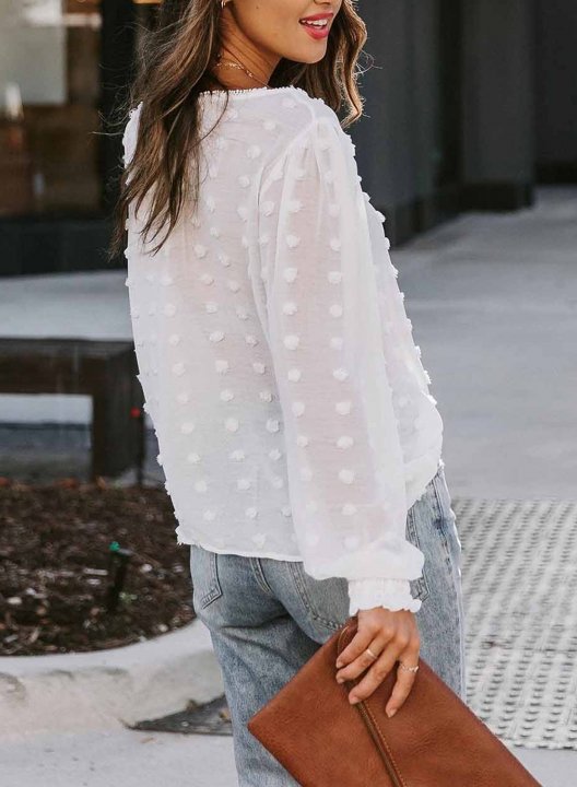 Tulle Lantern Sleeve Casual Blouse