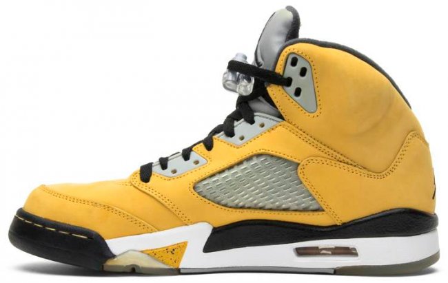 Air Jordan 5 Retro T23