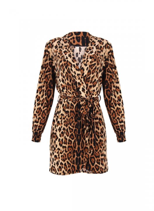 Women's Leopard Mini Dresses Long Sleeve V Neck Knot Casual Mini Dress