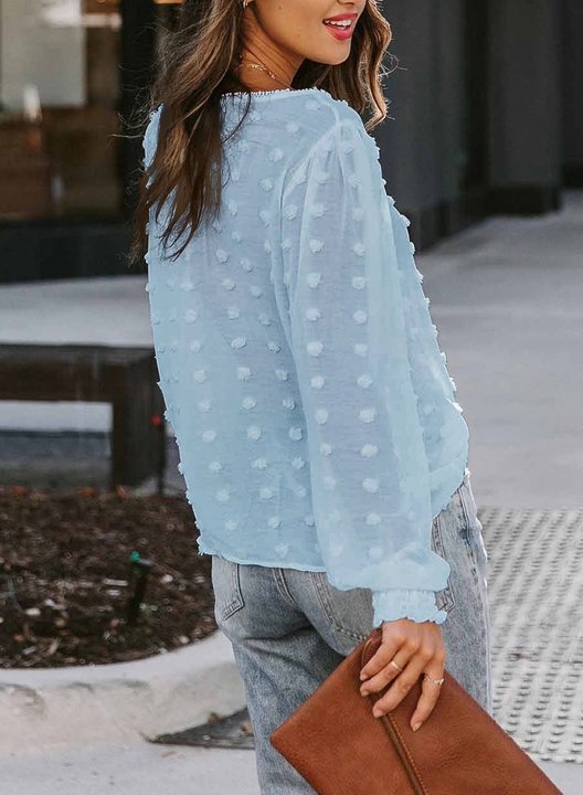 Tulle Lantern Sleeve Casual Blouse