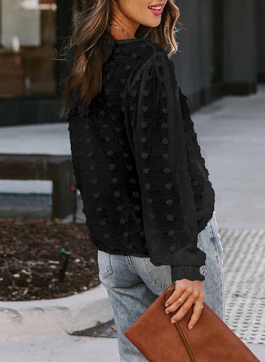 Tulle Lantern Sleeve Casual Blouse