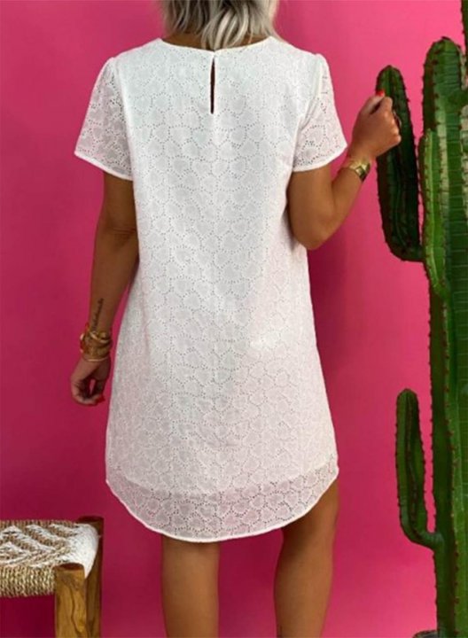 Women's Mini Dress Solid Lace A-line Short Sleeve V Neck Summer Daily Casual Mini Dress