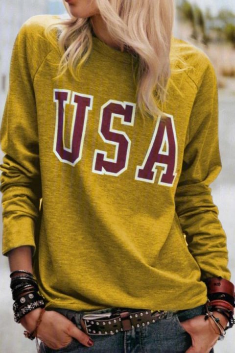 Letter Print Paneled Casual Crew Neck Long Sleeves Sweatshirt