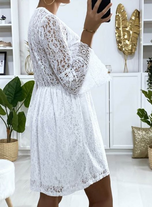 Women's Mini Dress Solid Floral Lace Fit & Flare Long Sleeve V Neck Summer Daily Mini Dress