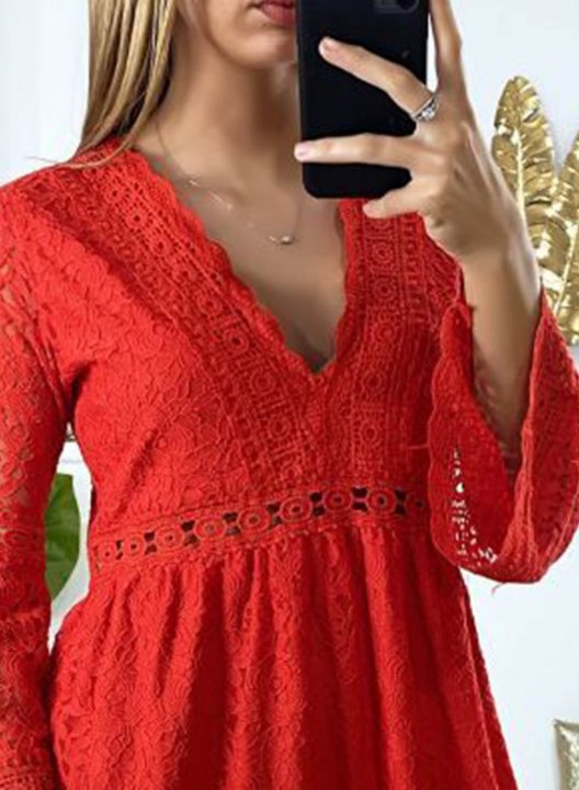 Women's Mini Dress Solid Floral Lace Fit & Flare Long Sleeve V Neck Summer Daily Mini Dress