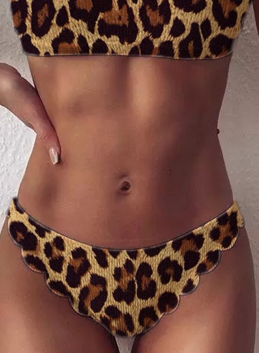 Women's Bikinis Low Rise Leopard Padded U Neck Basic Beach Bikini Bathing Suits