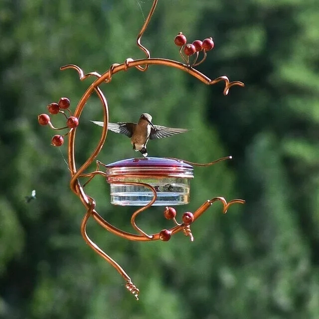 Red Berries Hummingbird Feeder