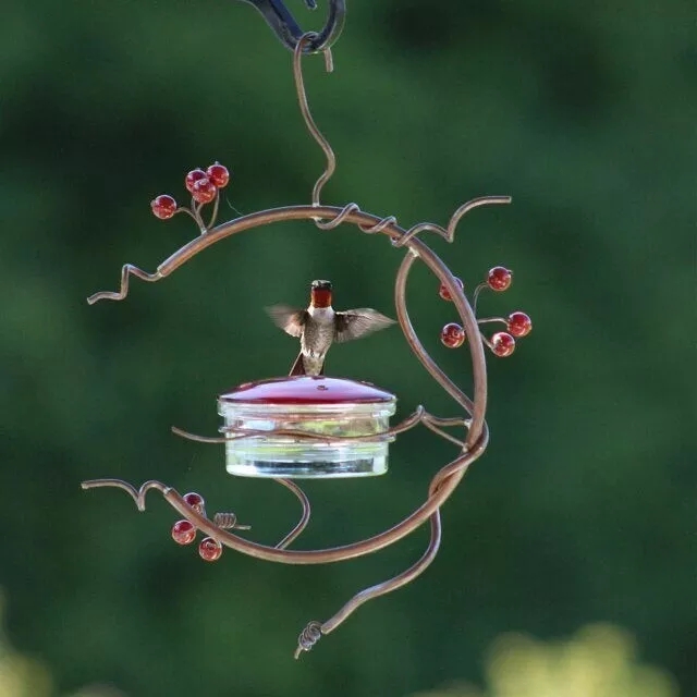 Red Berries Hummingbird Feeder